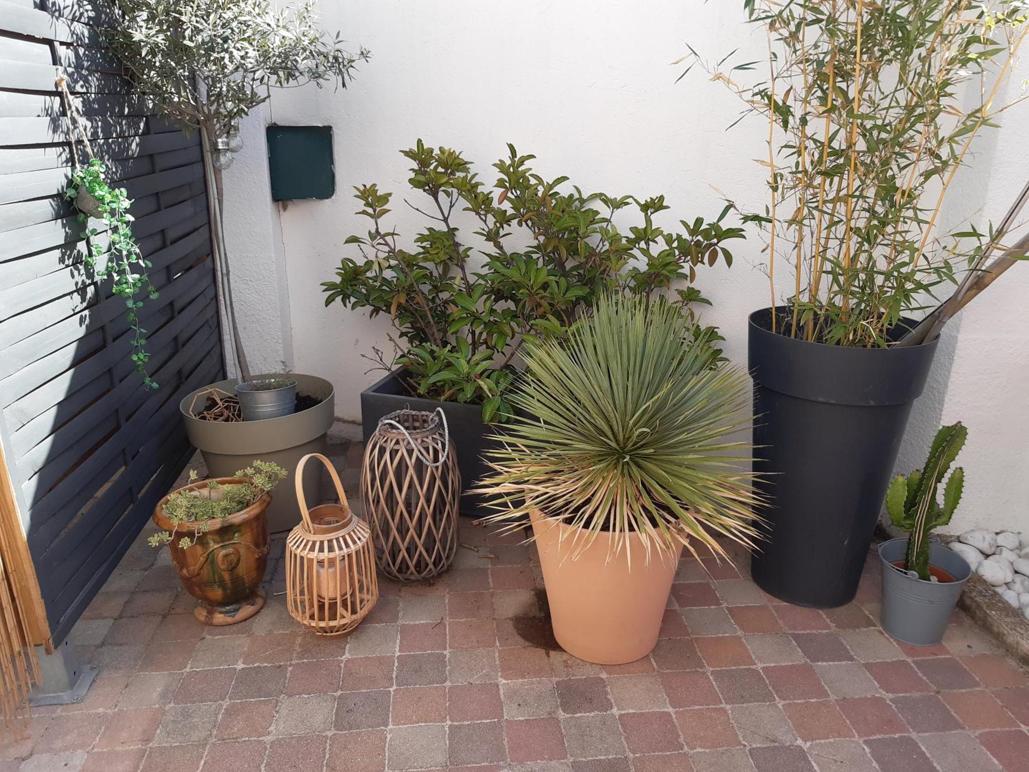 Grand Studio Avec Patio Marseille Exteriér fotografie